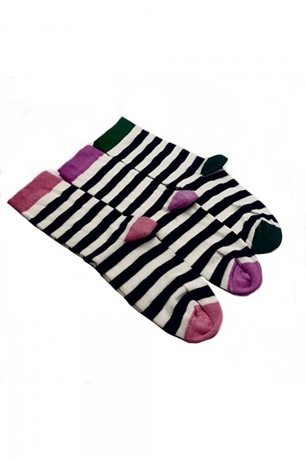 Black Arden Socks Renkli Çizgili Kadın Çorap 36-40 3 Çift