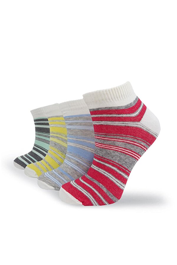 Black Arden Socks Kırmızı Mavi Sarı Gri Şeritli Desenli Bayan Patik Çorap 4 Çift