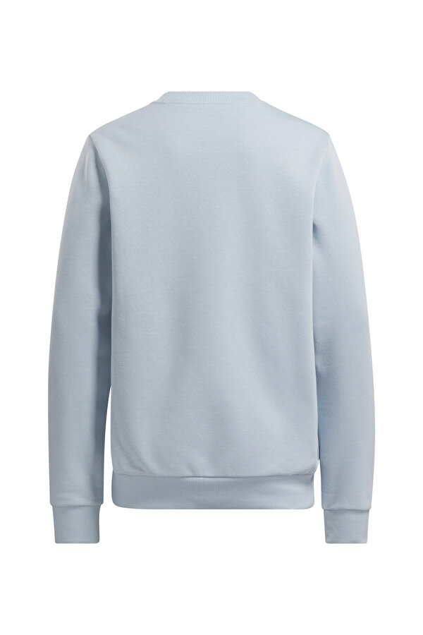 Reebok Ri Bl Fleece Crew Голубой 005 Женщина Джемпер