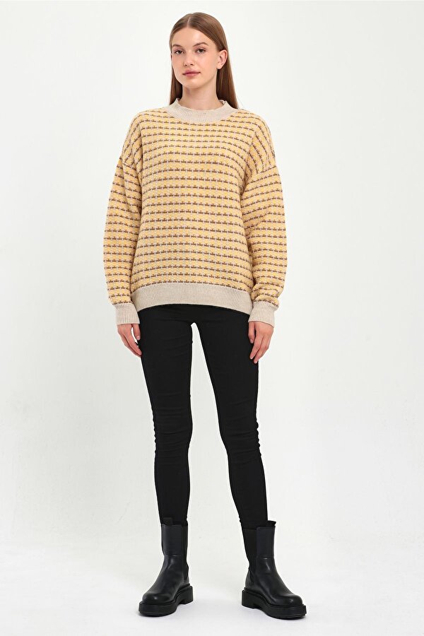 Alexander Gardi ALEXANDERGARDI DESENLİ YARIM BALIKÇI TRİKO KAZAK (B23-5804)