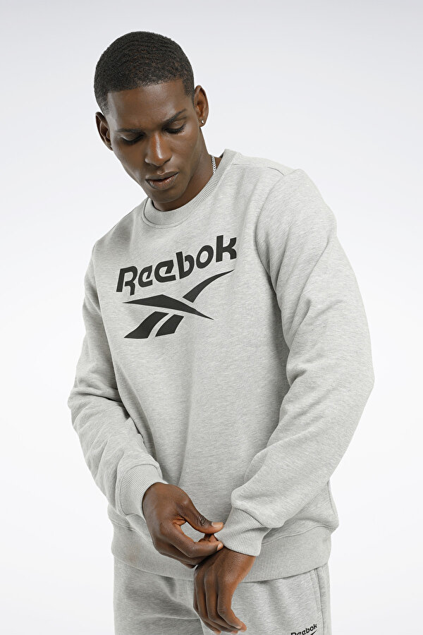 Reebok Ri Flc Big Logo Cre Серый 014 Мужчина Джемпер