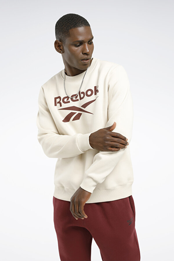 Reebok IDENTITY FLEECE ST STONE Man 060