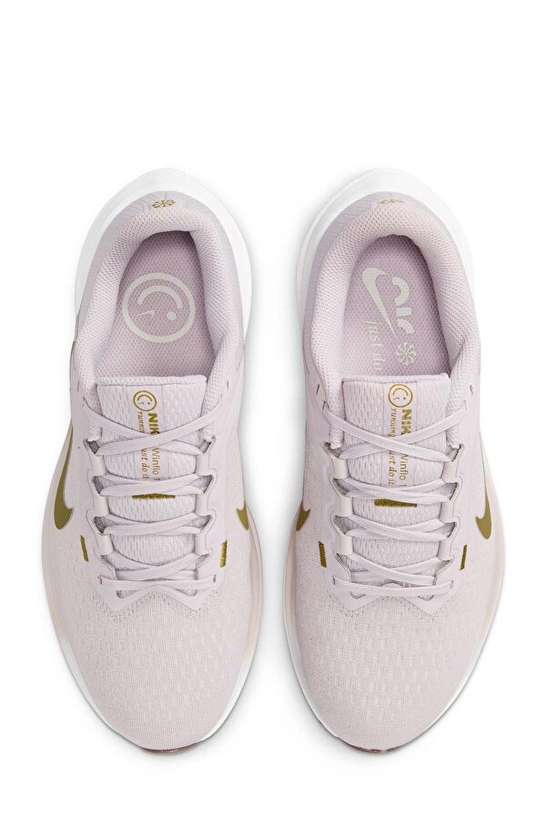 Nike W AIR WINFLO 10 Gümüş Kadın Koşu Ayakkabısı
