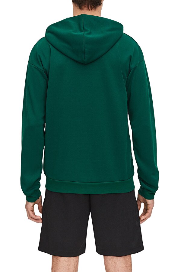 REEBOK Clothing Reebok Strength Hoodie 2.0 Зеленый 008