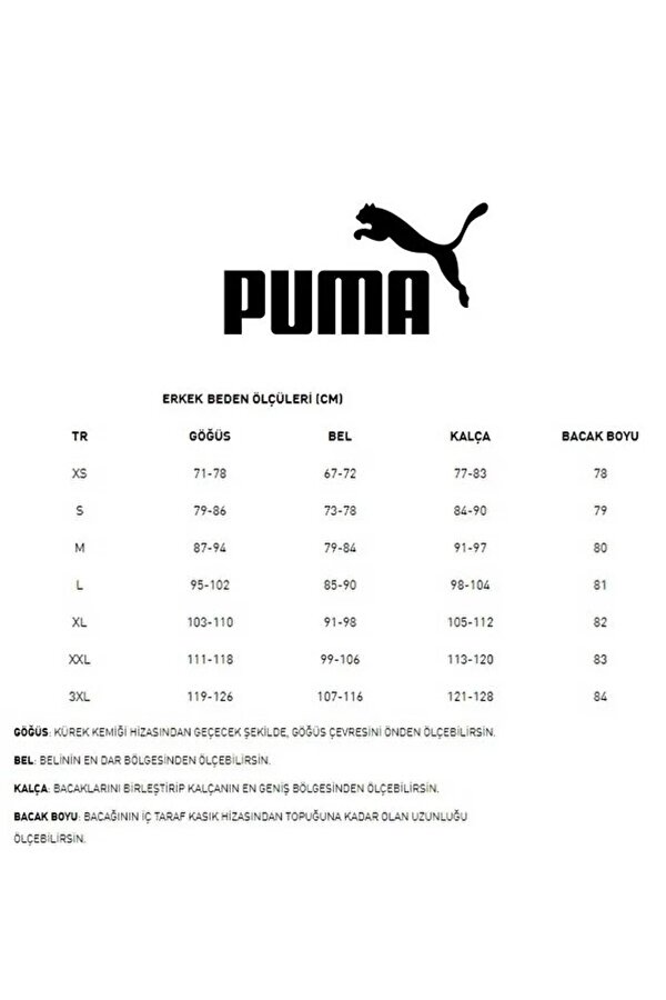 Puma 586688 ESS Big Logo Hoodie Erkek Kapüşonlu Sweatshirt