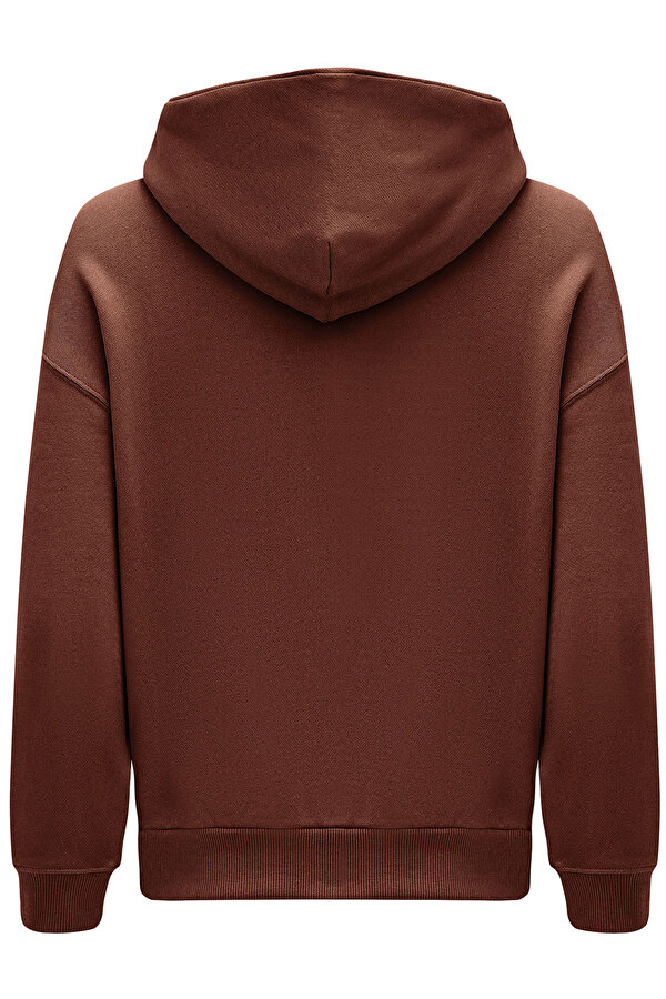 Reebok CL AE BIG LOGO FT HOODIE D BROWN Woman 449