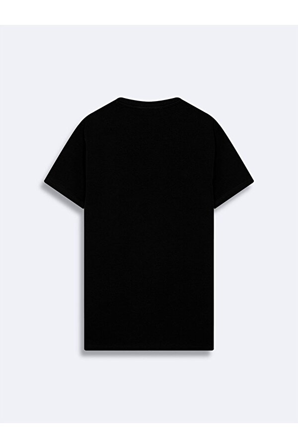 LTB Basıc Slim Fit Siyah T-shırt