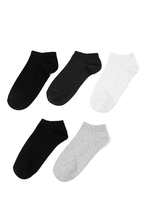 Polaris BASIC 5LI PTK-M 4PR Multicolor Man 171