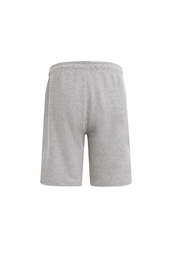Reebok IDENTITY SMALL LOG Gri Erkek Şort