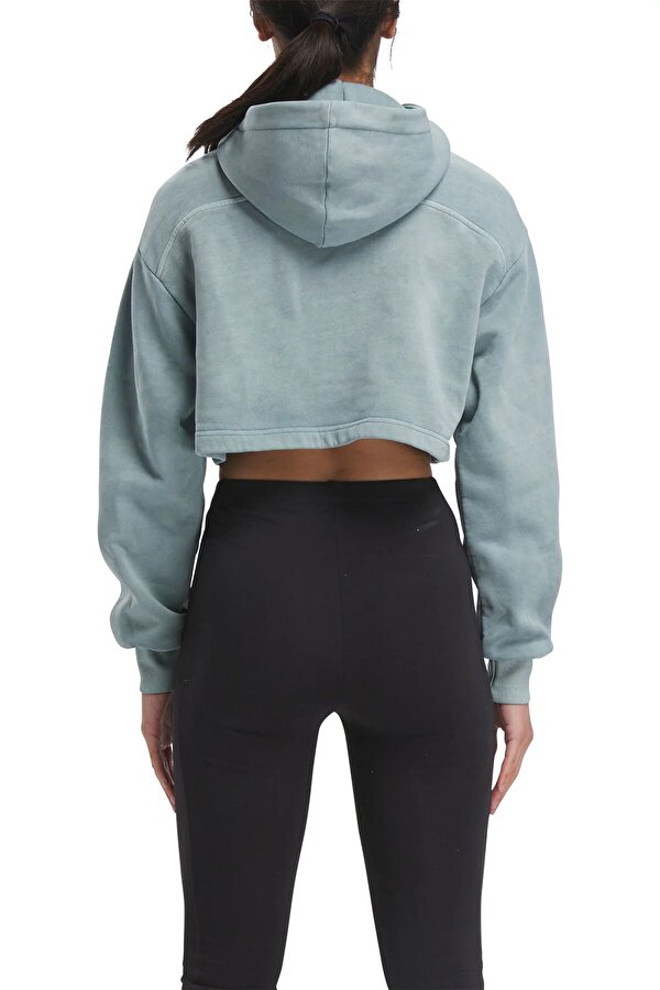 Reebok CL AE BIG LOGO FT HOODIE AIRFORCE BLUE Woman 449