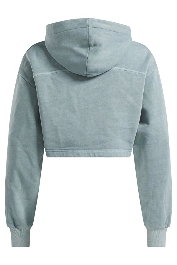 Reebok CL AE BIG LOGO FT HOODIE AIRFORCE BLUE Woman 449