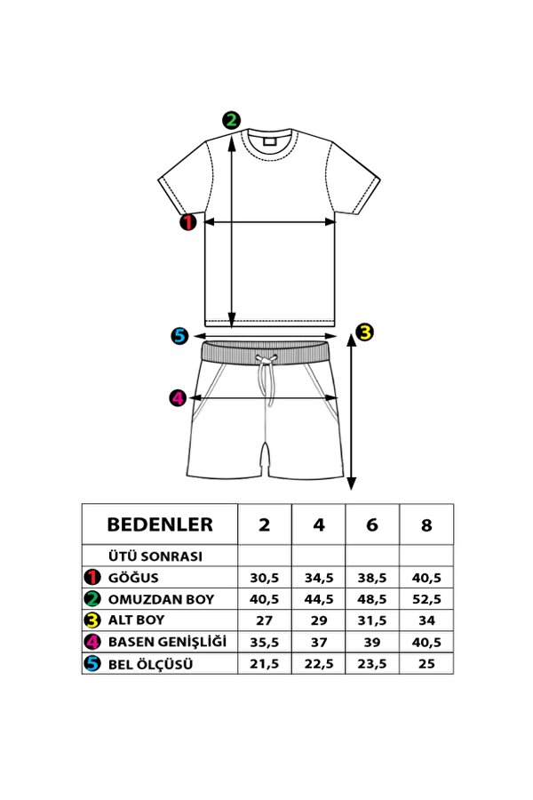 Toontoy Kids Toontoy Erkek Çocuk Baskılı Şortlu Takım