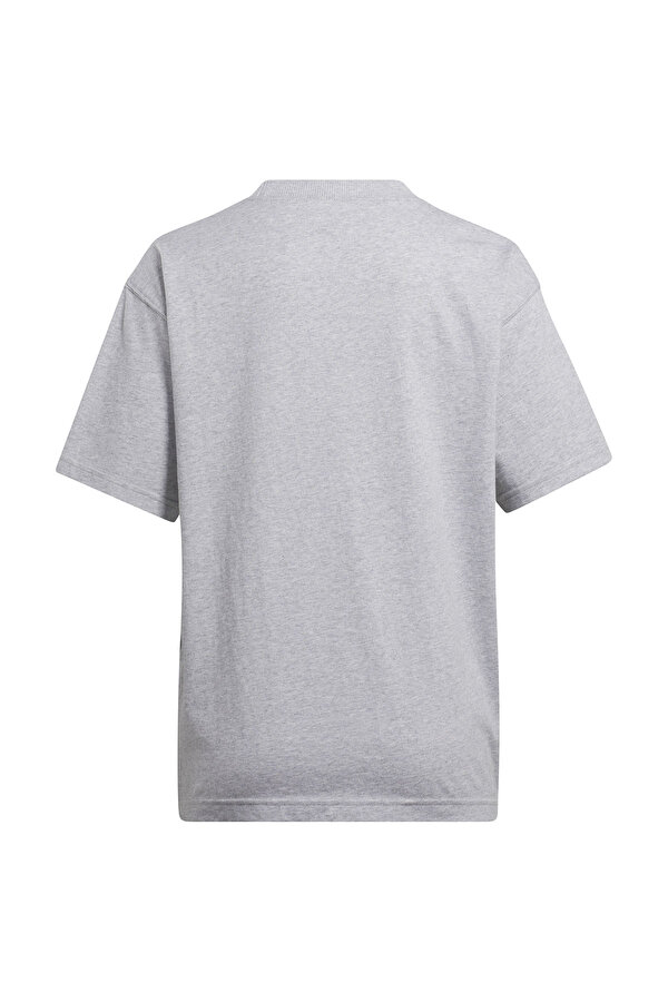 Reebok AE TEE L GRAY MOULINE Woman 054