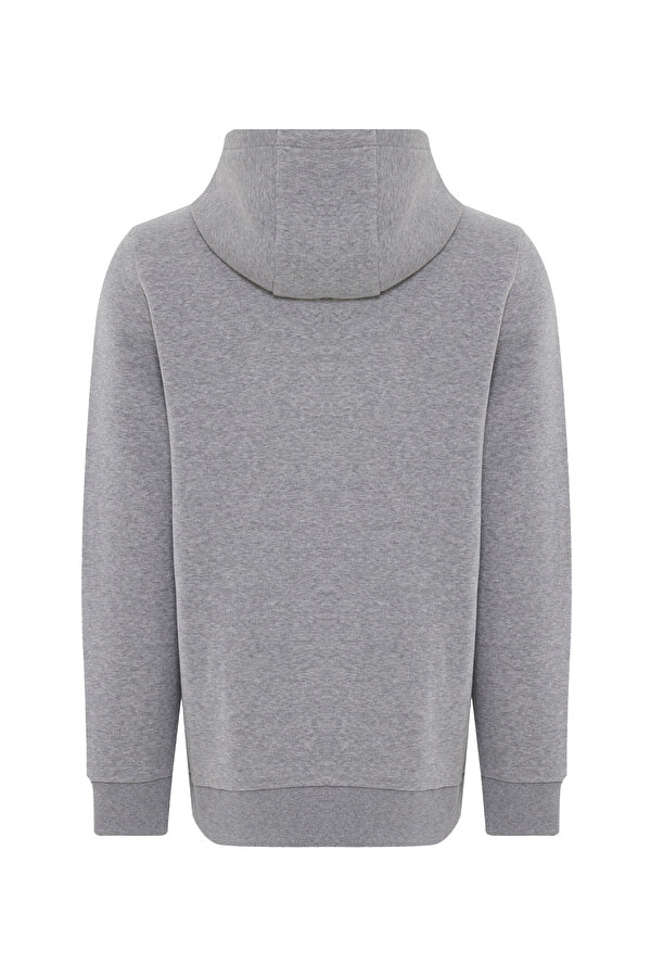 Reebok RBK ARNAMO HOODIE SWEAT Gri Erkek Sweatshirt