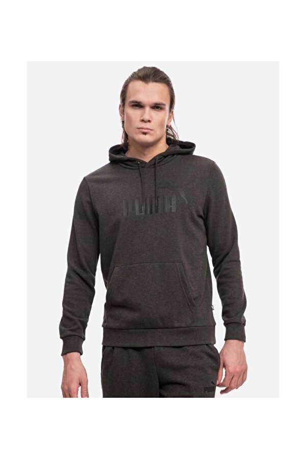 Puma ESS Big Logo Hoodie Erkek Sweatshirt 58668807