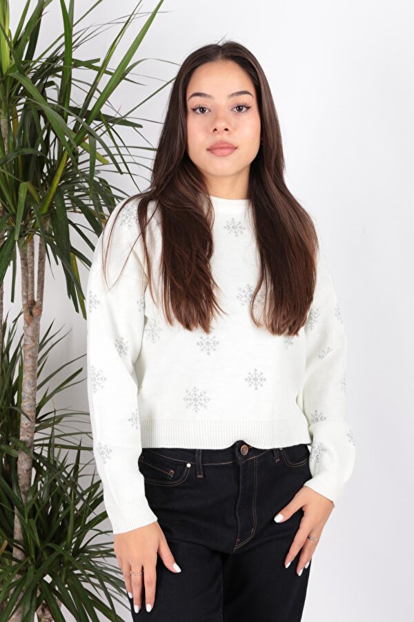 Fashion Friends 24K0268K1 Kadın Desenli Kazak