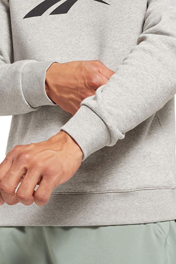 REEBOK Clothing Reebok Ri Flc Big Logo Crew Серый 014