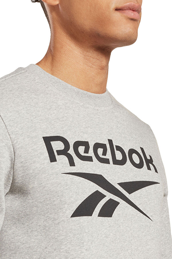 REEBOK Clothing Reebok Ri Flc Big Logo Crew Серый 014