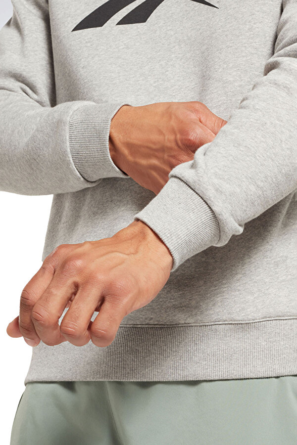 REEBOK Clothing Reebok Ri Flc Big Logo Crew Серый 014