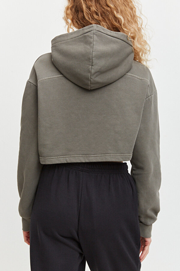 Reebok Cl Ae Big Logo Ft Hoodie Хаки 003 Женщина Толстовка С Капюшоном