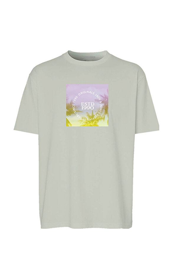 Jack & Jones JORVARENNA PHOTO GRI Erkek Kısa Kol T-Shirt