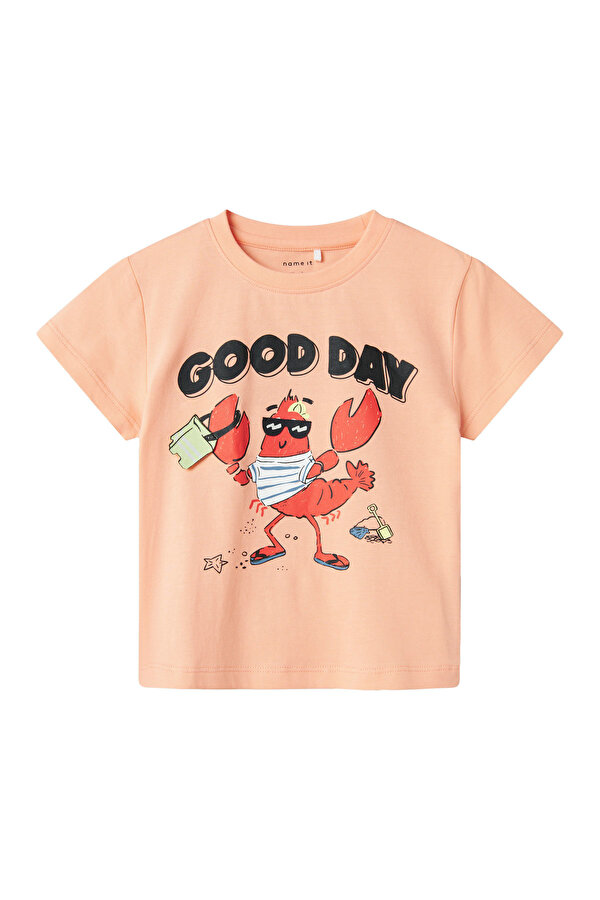Name It NMMFISH NREG SS TOP BOX Pembe Erkek Çocuk Kısa Kol T-Shirt