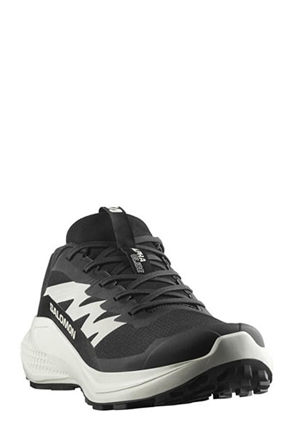 Salomon ALPHAGLIDE Siyah Erkek Koşu Ayakkabısı