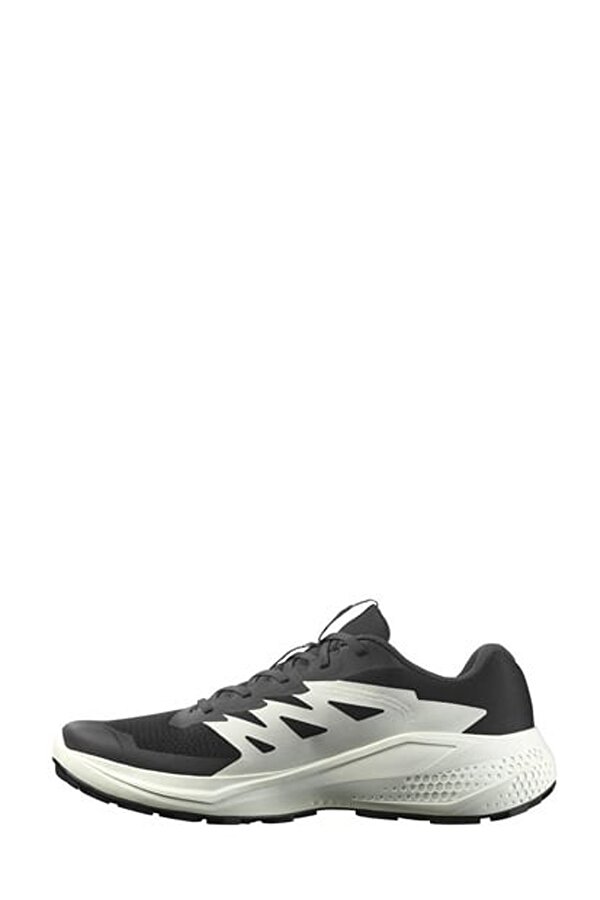 Salomon ALPHAGLIDE Siyah Erkek Koşu Ayakkabısı