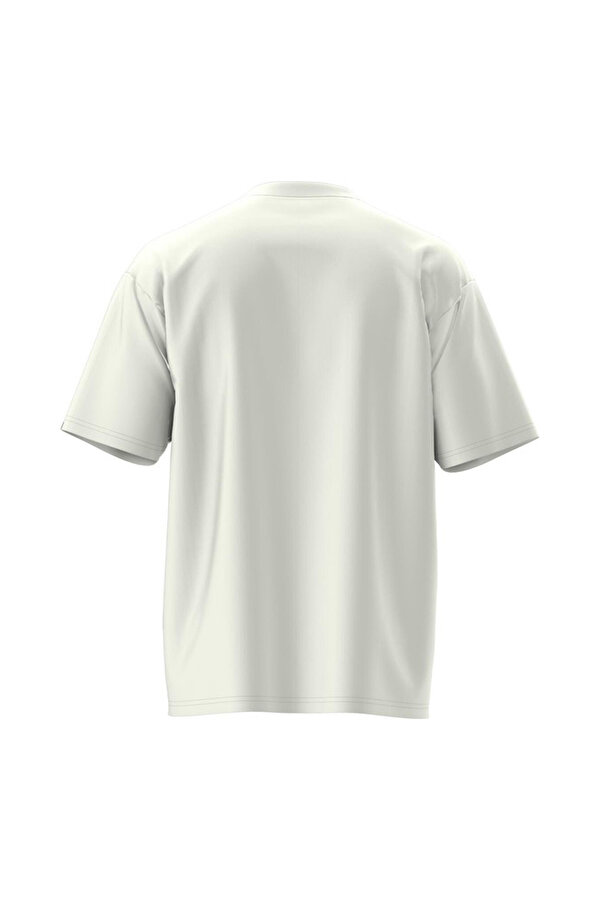 Vans ESSENTIAL LOOSE SS Ekru Erkek Kısa Kol T-Shirt