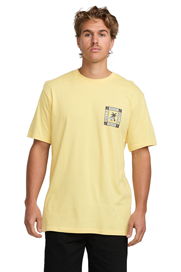 Billabong WINDOW PREMIUM SS Bej Erkek Kısa Kol T-Shirt
