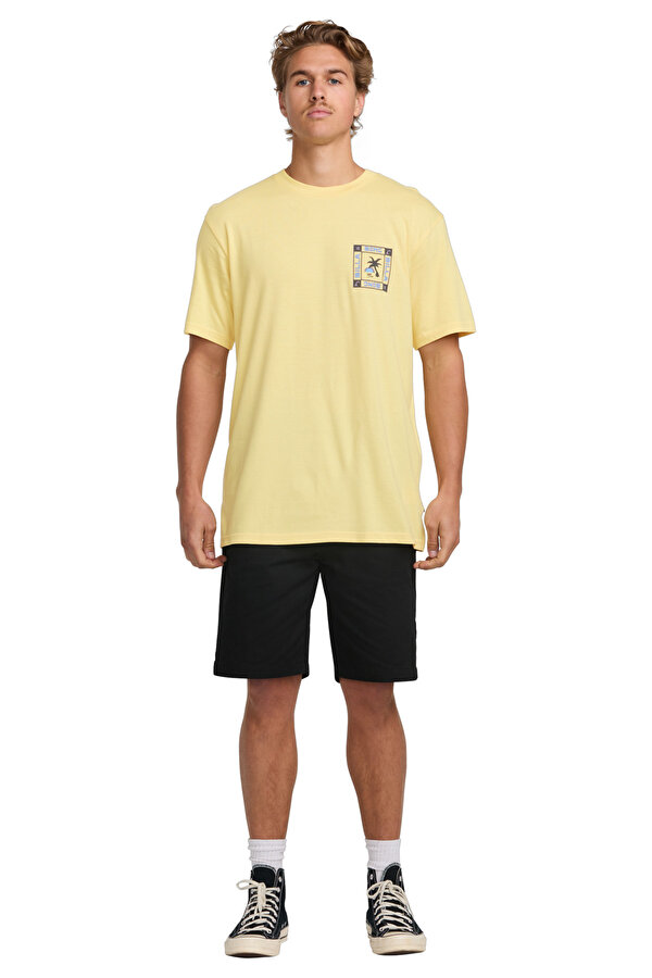 Billabong WINDOW PREMIUM SS Bej Erkek Kısa Kol T-Shirt