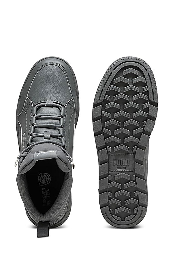 PUMA Shoes Puma Tarrenz Sb Iii Toasted-To Серый 023