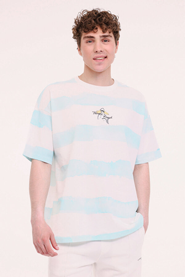 Lumberjack ML STRIPE 11HL110 5FX Mavi Erkek Kısa Kol T-Shirt
