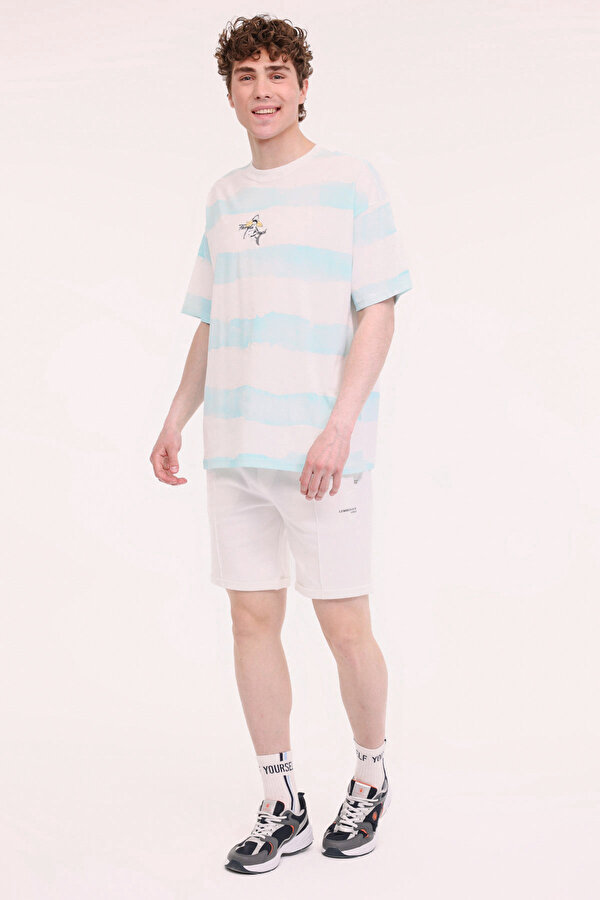 Lumberjack ML STRIPE 11HL110 5FX Mavi Erkek Kısa Kol T-Shirt