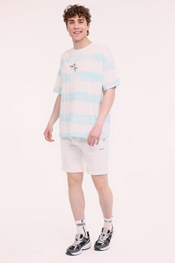 Lumberjack ML STRIPE 11HL110 5FX Mavi Erkek Kısa Kol T-Shirt