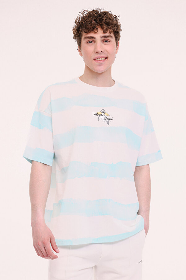 Lumberjack ML STRIPE 11HL110 5FX Mavi Erkek Kısa Kol T-Shirt