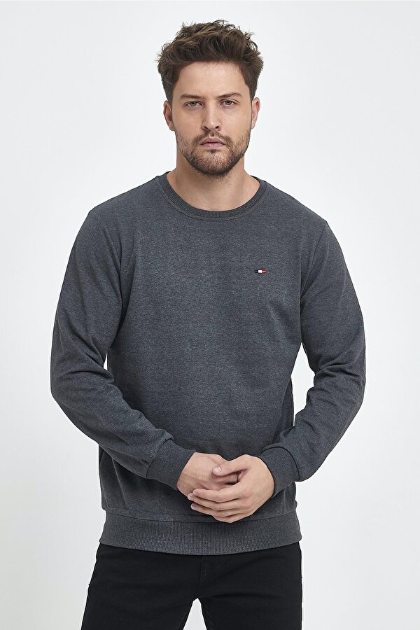Erkek Antrasit Bisiklet Yaka Nakış Detaylı Regular Fit Sweatshirt