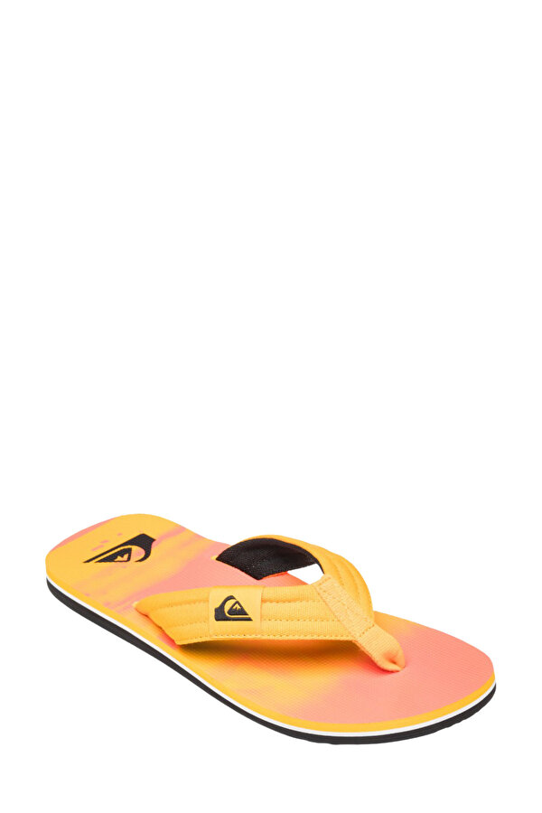 QUIKSILVER Shoes Quiksilver Molokai Layback Ii Желтый