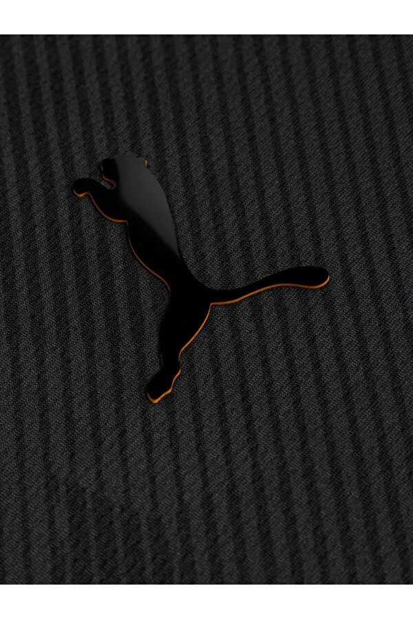 Puma GS 2024/2025 Limited Edition Erkek Forma 78151812