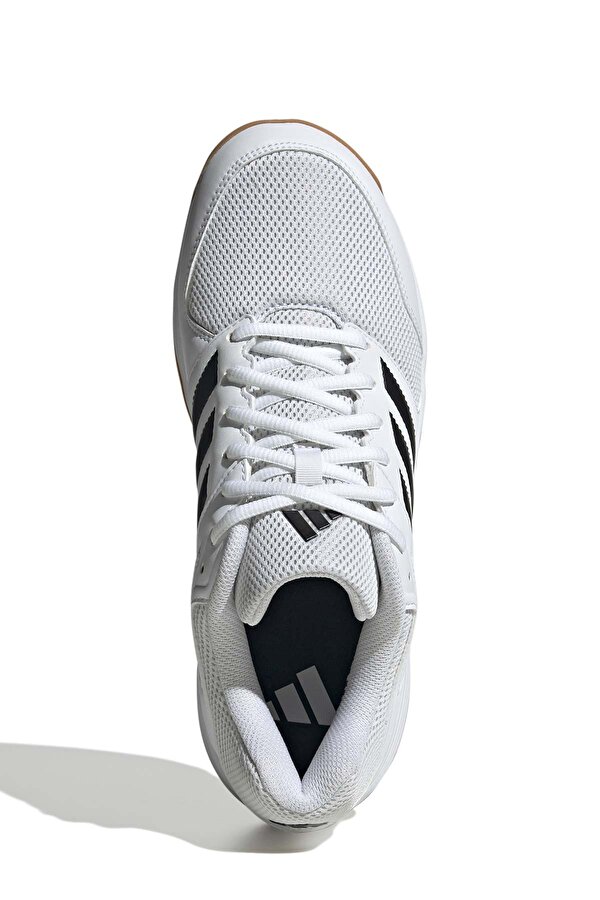 adidas Speedcourt Beyaz Erkek Voleybol Ayakkabısı