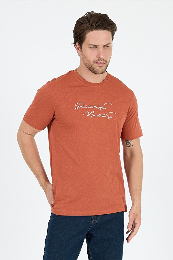 Rodi Regular Fit Pamuk Bisiklet Yaka Baskılı Penye Erkek Tişört 0011