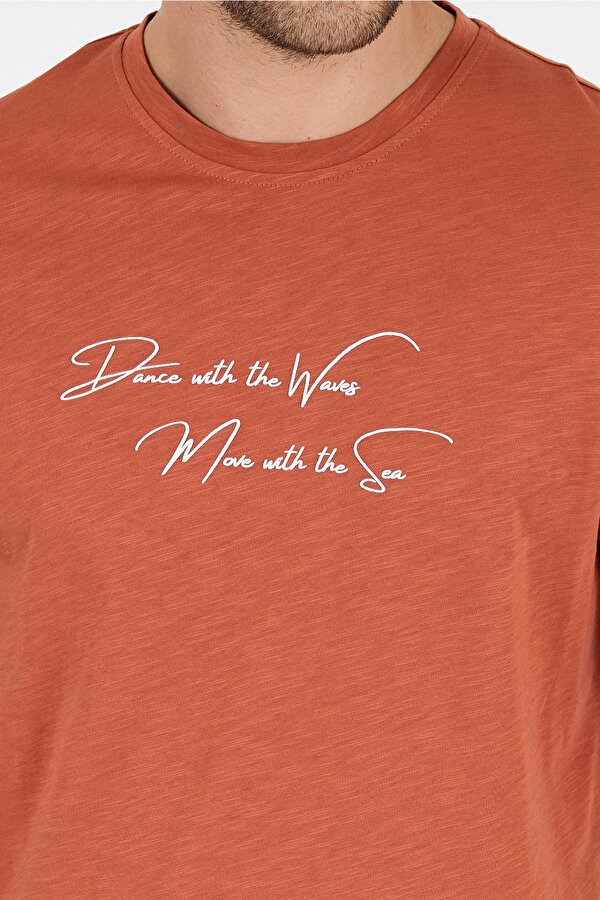 Rodi Regular Fit Pamuk Bisiklet Yaka Baskılı Penye Erkek Tişört 0011