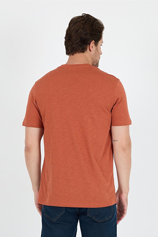 Rodi Regular Fit Pamuk Bisiklet Yaka Baskılı Penye Erkek Tişört 0011