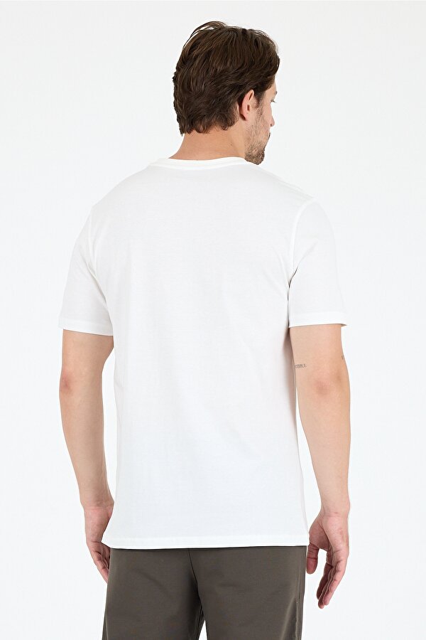 Rodi Regular Fit Pamuk Bisiklet Yaka Baskılı Penye Erkek Tişört 0018