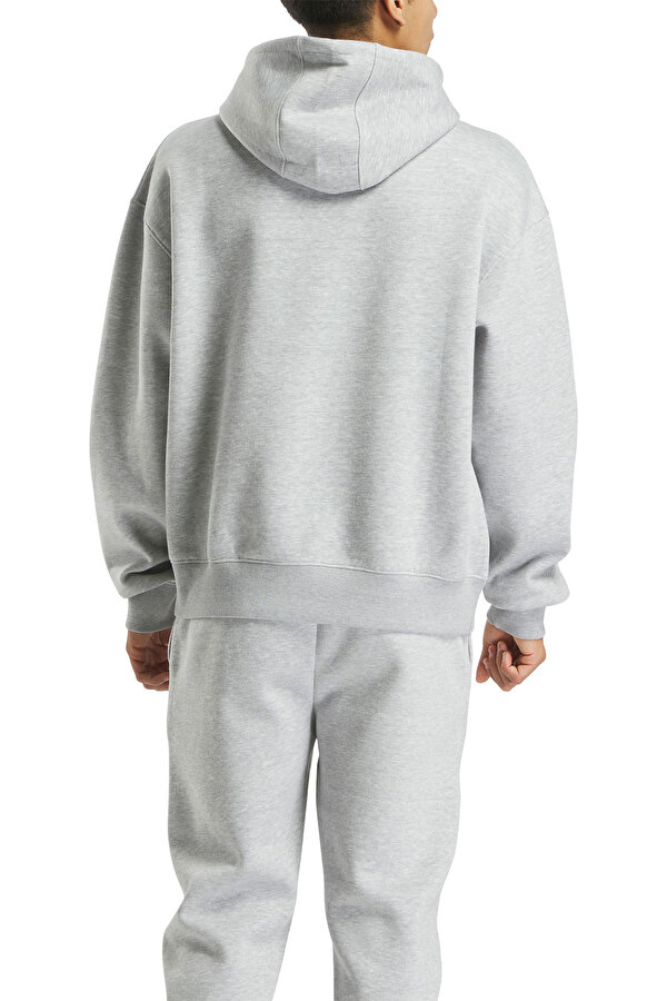 REEBOK Clothing Reebok Colman Hoody Серый 025