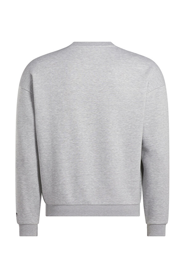 REEBOK Clothing Reebok Cottle Sweatshirt Серый 025