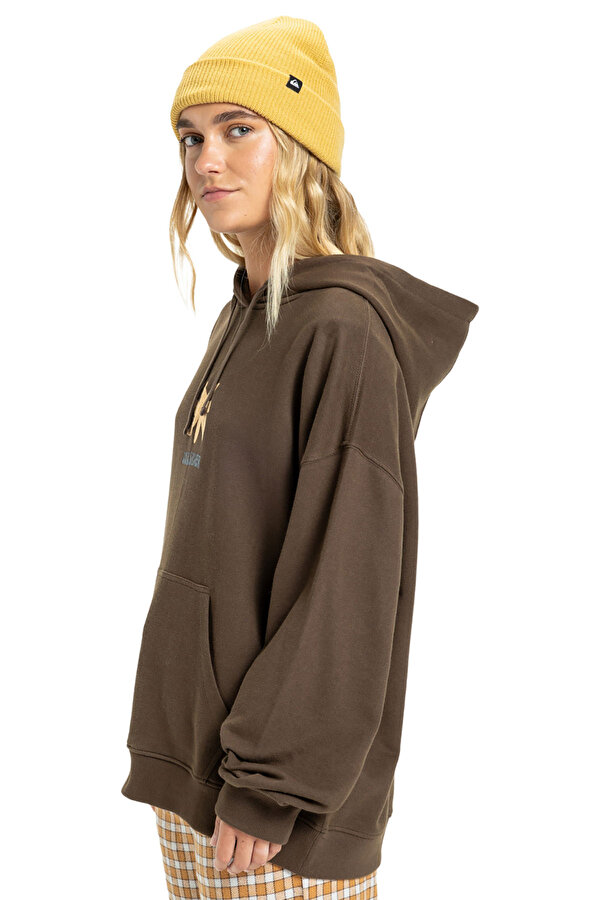 QUIKSILVER Clothing Quiksilver Standard Hoodie Коричневый 002