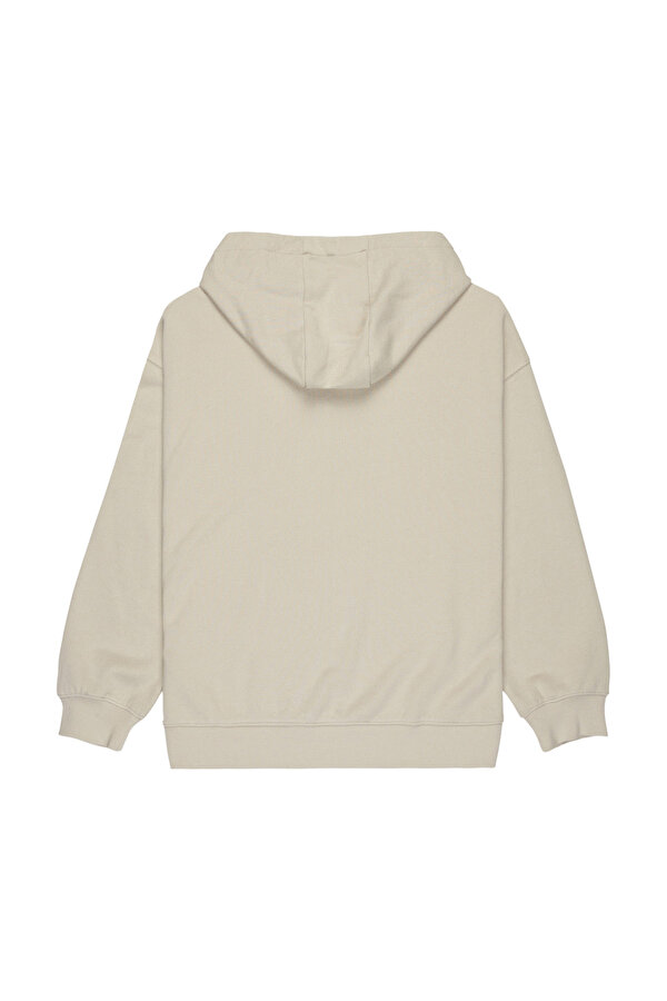 QUIKSILVER Clothing Quiksilver Standard Hoodie Бежевый