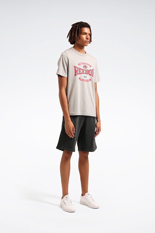 Reebok GS HS TRADITION TEE Gri Erkek Kısa Kol T-Shirt