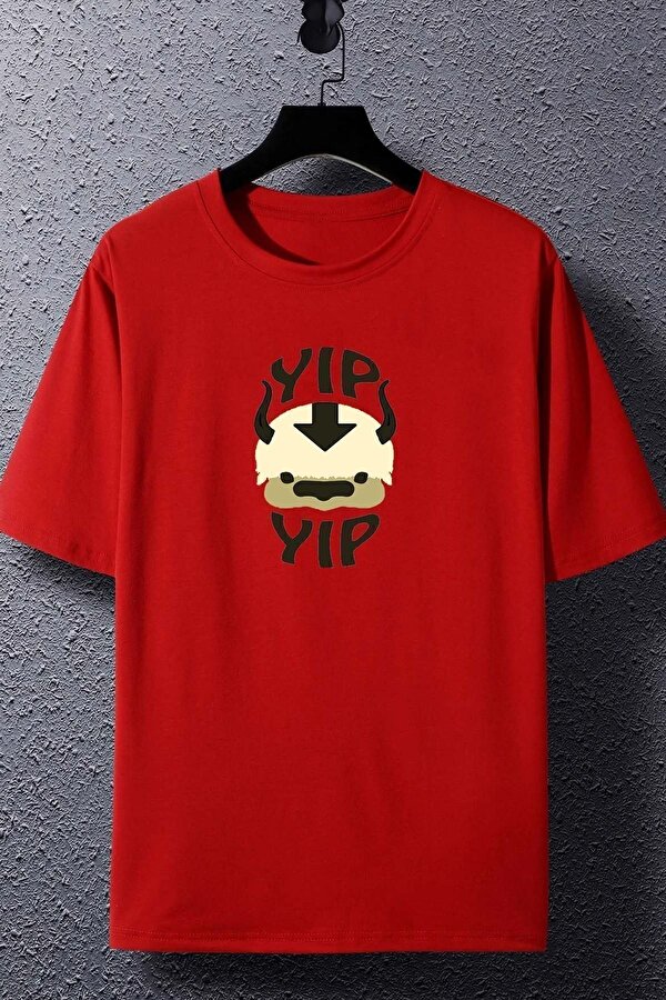 Unisex Avatar Appa Baskılı T-shirt - FLO 3 Al 1 Öde